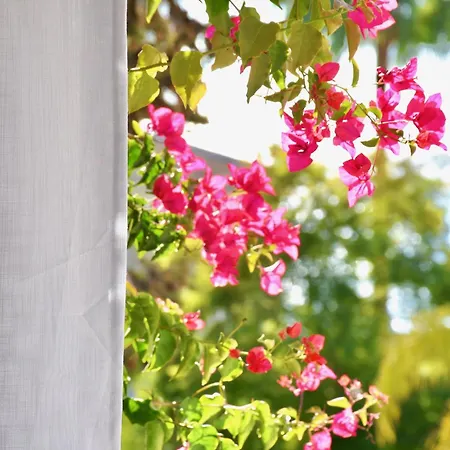 Aquamarine - Gemstone Getaway * Vale do Lobo