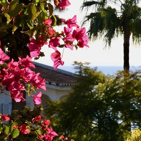 Aquamarine - Gemstone Getaway דירה